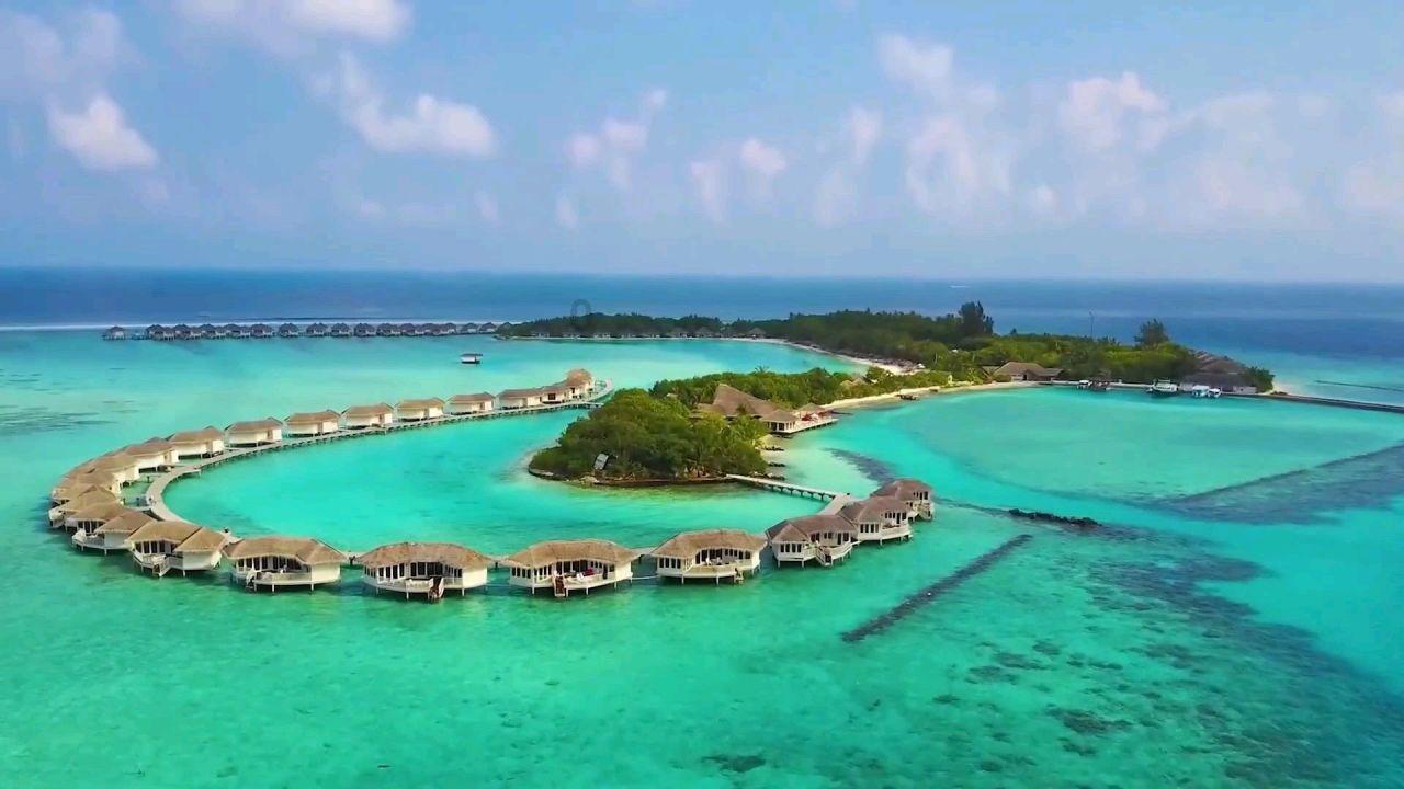 每周喝两次这个汤，补气养血滋补养颜，关键是好吃不贵