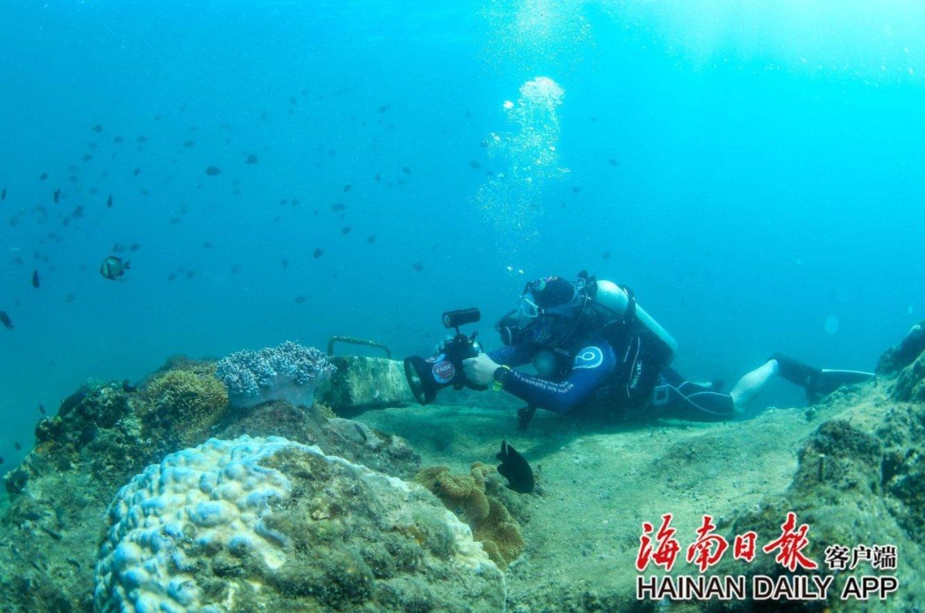 机械迷城