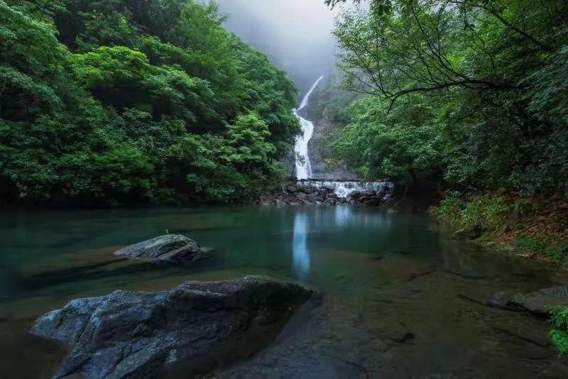 逃离危险禁地